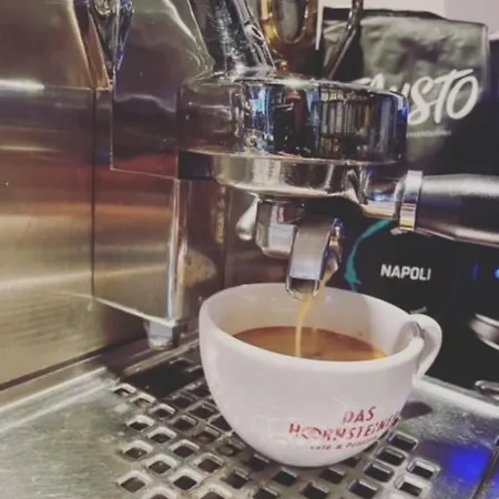 Casa de hóspedes Das-hornsteiner 4*