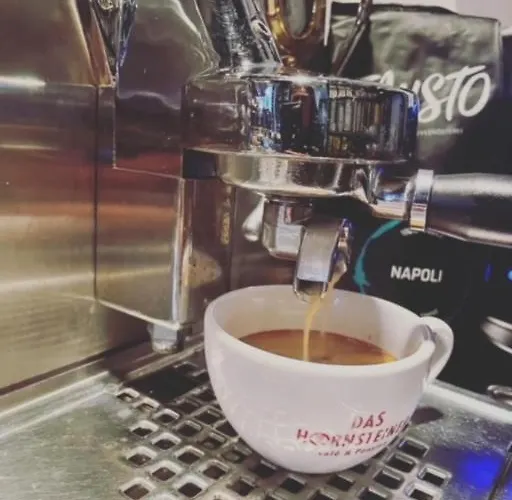 ゲストハウス Das-hornsteiner 4*